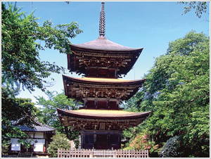 前山寺の三重塔　写真